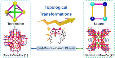 Graphical abstract: Engineering geometric metamorphosis in {P6M2Mo16O73}-based high-nuclearity metal superclusters: from tetrahedral to square assemblies via topological transformations