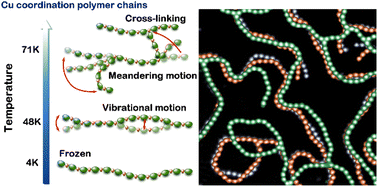Graphical abstract: Structural flexibility and mobility of coordination polymers on Cu(111)