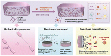 Graphical abstract: Construction of phosphonitrile derivative-hybridized EPDM dense crosslinked networks for enhanced mechanics and ablation resistance