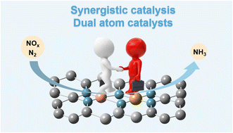 Graphical abstract: Emerging paired diatomic sites toward synergistic NH3 synthesis