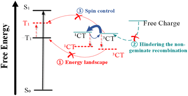 Graphical abstract: Recent progress in minimizing the loss channel via triplet excitons in nonfullerene-based organic solar cells