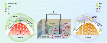 Graphical abstract: Hematite nanobelts with ordered oxygen vacancies for bifunctional electrocatalytic water splitting