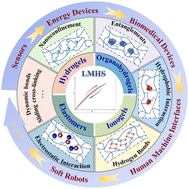 Graphical abstract: Low mechanical-hysteresis soft materials: materials, design, and applications