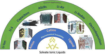 Graphical abstract: Solvate ionic liquids: past, present and future