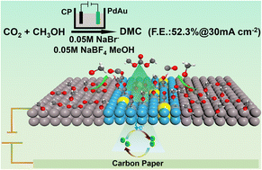 Graphical abstract: Au atom tailoring of palladium nanocatalysts to boost cathodic coupling of carbon dioxide and methanol into dimethyl carbonate
